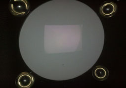 cellule